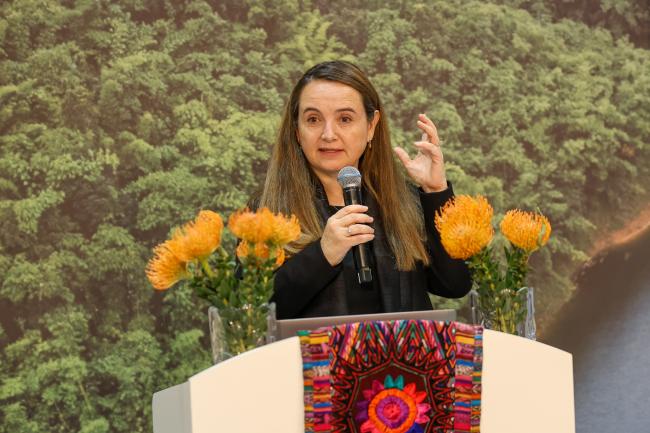 Grethel Aguilar, Director General, IUCN