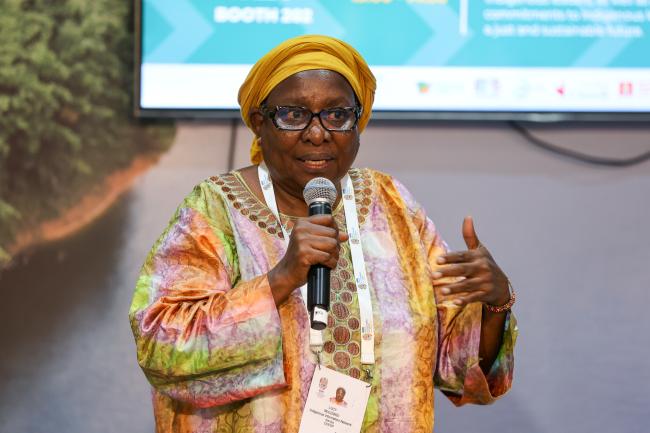 Lucy Mulenkei, IIFB Co-Chair and Executive Director, IIN