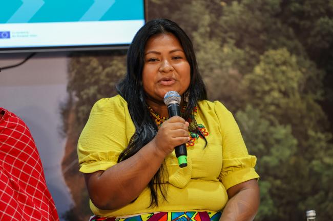Sara Omi Casamá, Chair, Coordinating Committee of Territorial Women Leaders of Mesoamerica