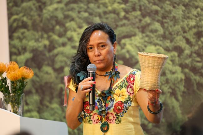 Anita Tzec, Maya Yucatec leader and Senior Programme Officer on Indigenous Peoples and Conservation, IUCN