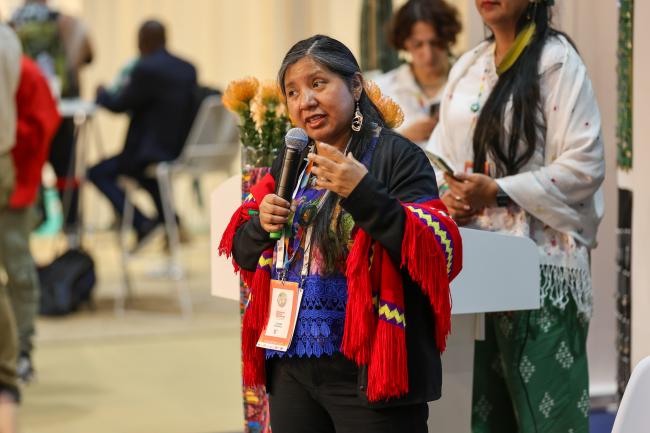 Viviana Figueroa, International Indigenous Women Biodiversity Network