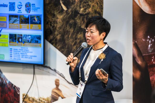 IUCN Business Summit