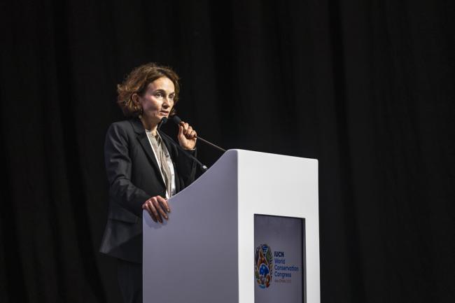 IUCN Business Summit