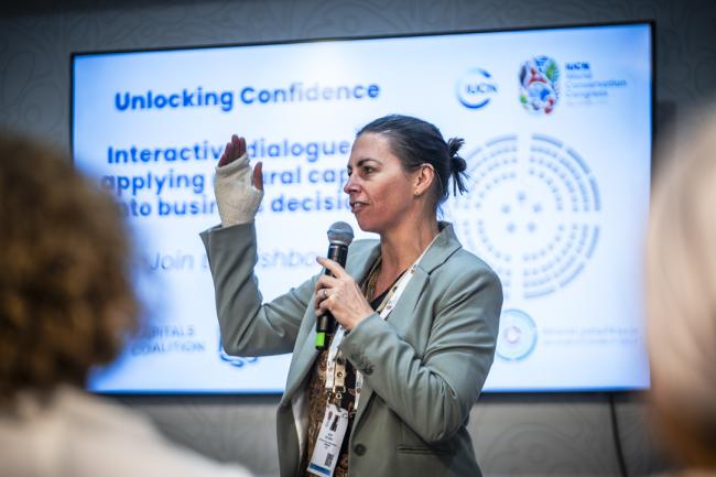 IUCN Business Summit