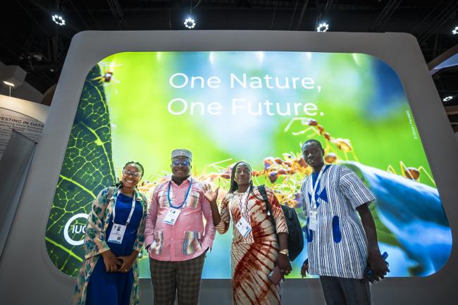 IUCN Business Summit