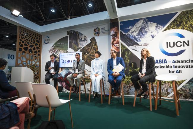IUCN Business Summit