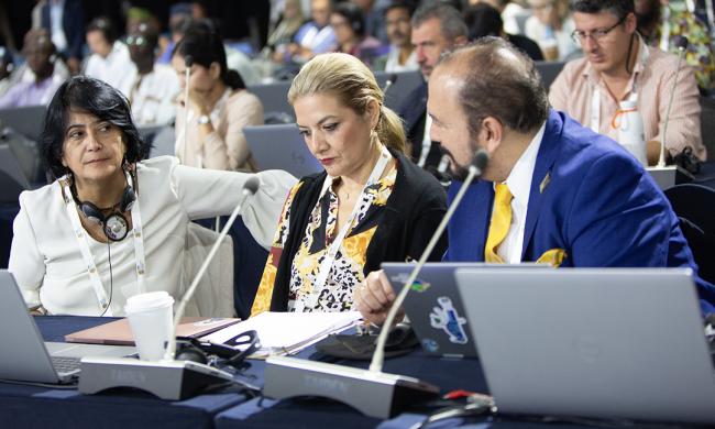 Participants 6 - IUCN-World Conservation Congress 2025- 132Oct2025