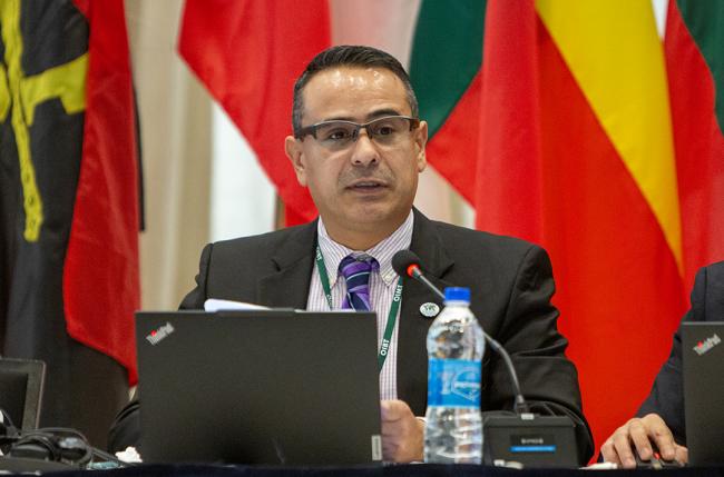 Ramón Carrillo Arellano, ITTO Secretariat - ITTC61 - 28Oct2025