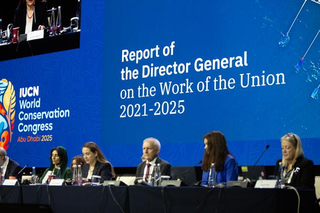 Report of the Director General - IUCN-World Conservation Congress 2025- 132Oct2025