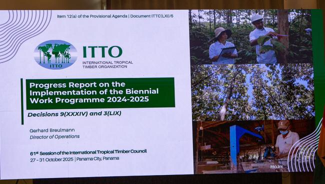 Report on the Implementation of the Biennial WP 2024-2025 - ITTC61 - 29Oct2025