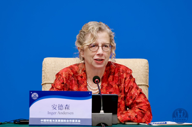 Inger Andersen, Executive Director, UNEP