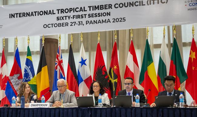 Second Panel Joint Committee - ITTC61 - 28Oct2025