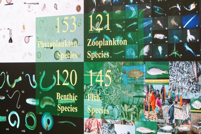 Species Distribution- Oceans of Opportunity - IUCN-World Conservation Congress 2025- 10Oct2025