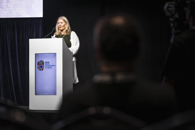 IUCN Business Summit