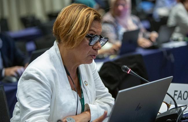 Thais Linhares Juvenal, FAO - ITTC61 - 29Oct2025