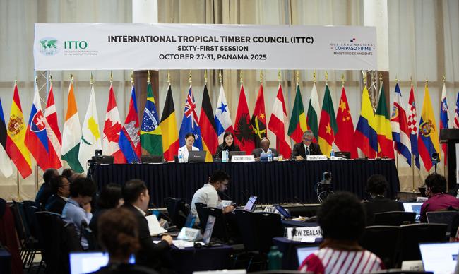 View of Comitte 1- ITTC61 - 27Oct2026