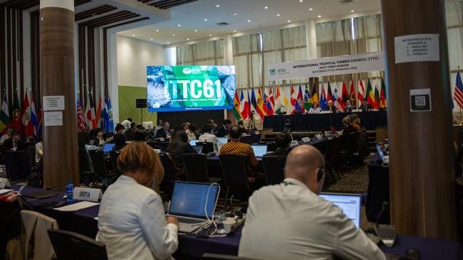 View of the room - ITTC61 - 29Oct2025