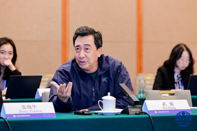 Wu Qiang, Professor, China University of Mining and Technology_cciced2025_16Okt25