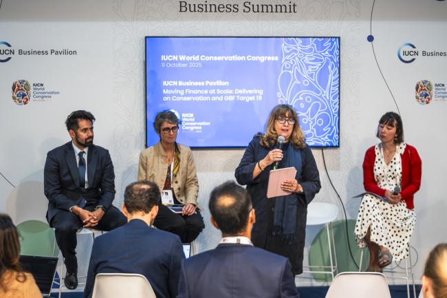 IUCN Business Summit