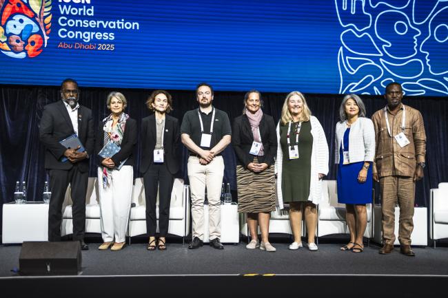 IUCN Business Summit
