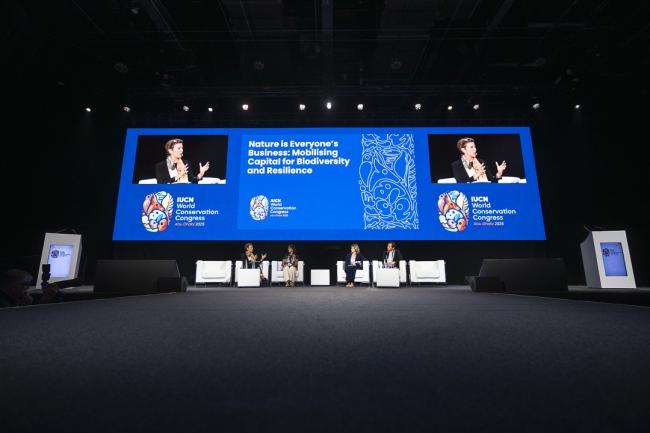 IUCN Business Summit