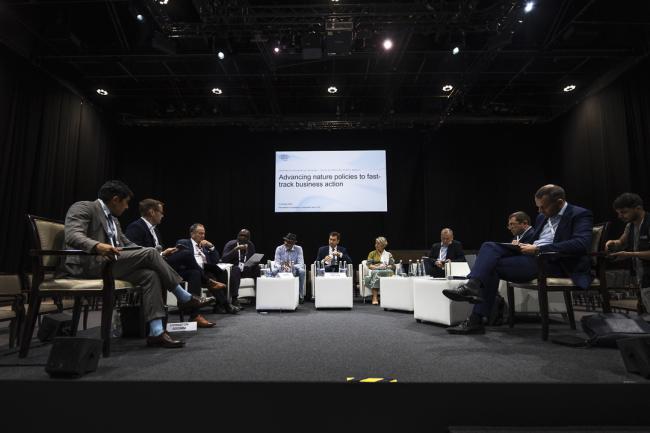 IUCN Business Summit