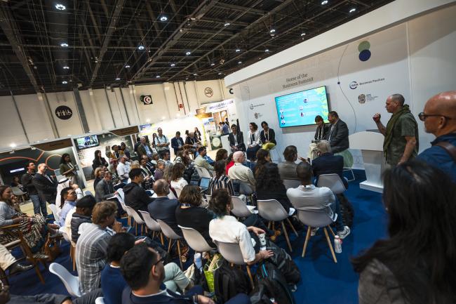 IUCN Business Summit