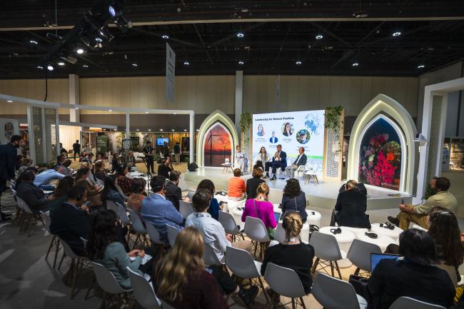 IUCN Business Summit