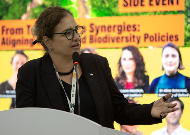 1 Fernanda Carvalho, Head of Policy for Climate and Energy, WWF International - From Trade-offs to Synergie - COP30 - 11 Nov 2025