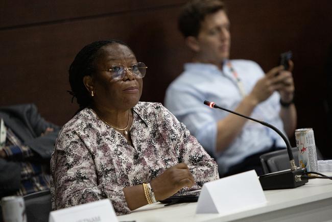 Iniobong Abiola-Awe, Director, Department of Climate Change, Nigeria-Ministerial FAST+CCAC-19Nov2025