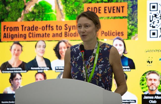 An Lambrechts, Biodiversity politics expert, Greenpeace International - From Trade-offs to Synergie - COP30 - 11 Nov 2025