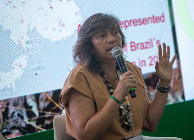 Ane Alencar, Director of Science, Amazon Environmental Research Institute - Global Fire Hub - COP30 - 17Nov