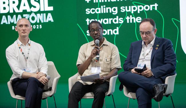 1 Orville Grey, Head of Secretariat for the NAP Global Network, IISD Accelerating the legacy of Rio - COP30 - 15Nov