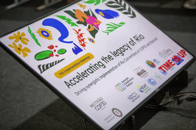 1. Accelerating the legacy of Rio - COP30 - 15Nov