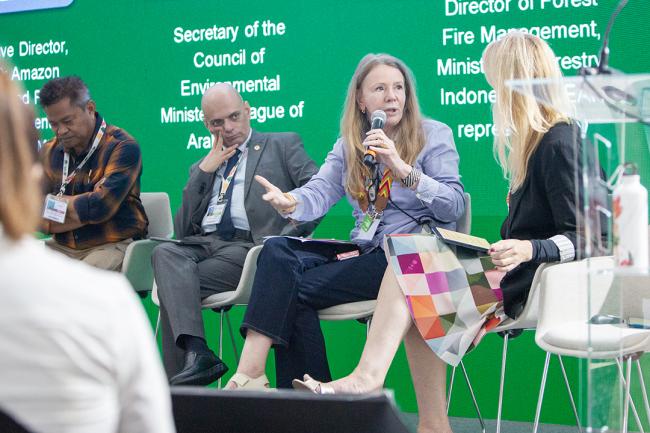 2 Vanessa Grazziotin, Executive Director, Amazon Cooperation Treaty Organization (ACTO) - Global Fire Hub - COP30 - 17Nov
