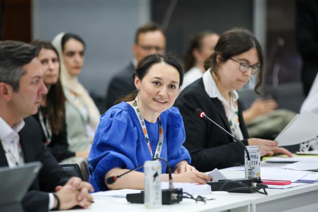 Kamala Huseynli-Abishova, Water for Climate Action focal point, COP 29 Presidency 