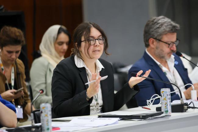 Sonja Köppel, Secretary, Water Convention 