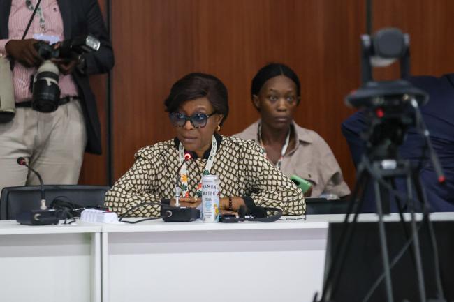 Arlette Soudan-Nonault, Minister of the Environment, Sustainable Development and the Congo Basin