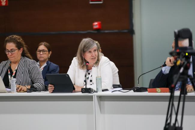 Meike van Ginneken, Water Envoy, the Netherlands 