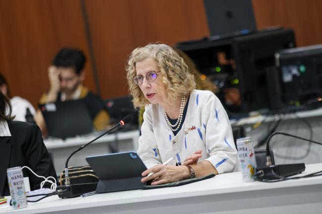 Inger Andersen, Executive Director, UNEP 