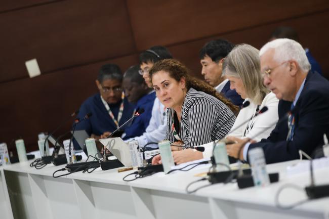 Ayşe Inanç, Ministry of Foreign Affairs, Türkiye 