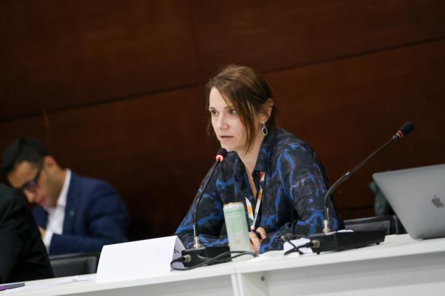 Aliona Cara-Rusnac Secretary of State at the Ministry of Environment, Moldova