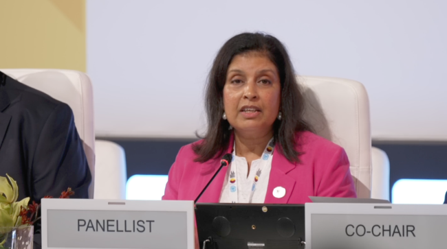 Mariëlle Paul, Minister of Social Affairs and Employment, Kingdom of the Netherlands