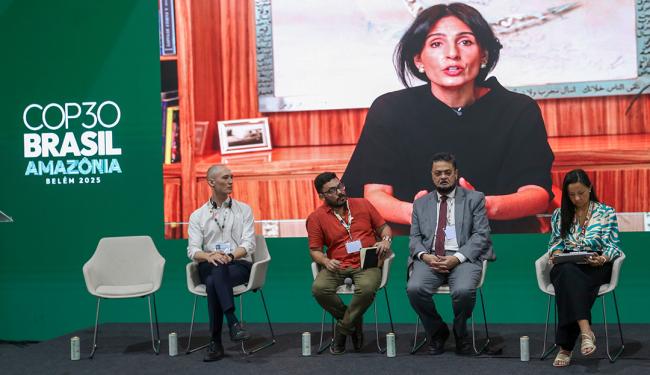 Accelerating the legacy of Rio- driving synergistic implementation of Rio Conventions at COP30