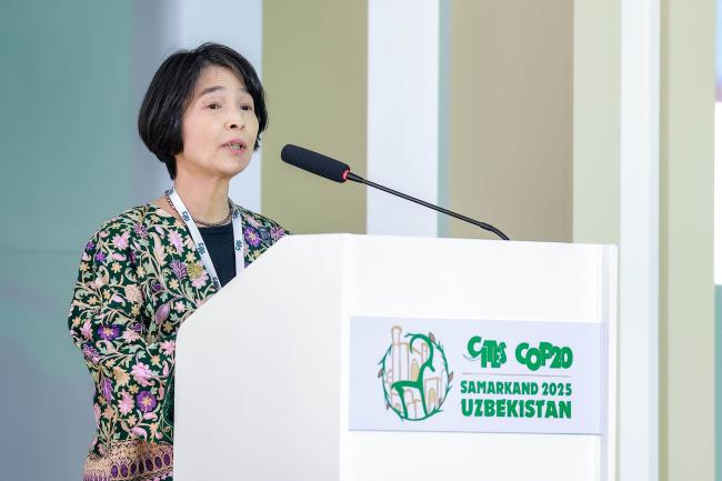 Akiko Fuji, UN Development Programme (UNDP) Resident Representative in Uzbekistan