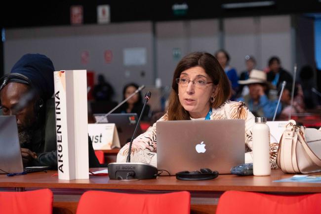 Andrea Laura Mackielo_ Arg_ITPGRFA_GB11_26th_AndresC-101999