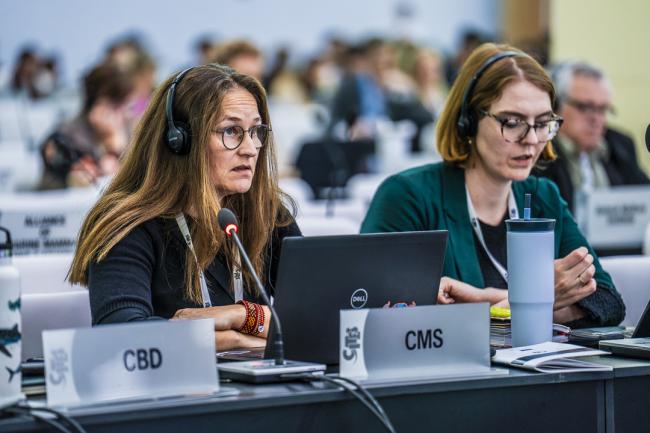 CITES COP20