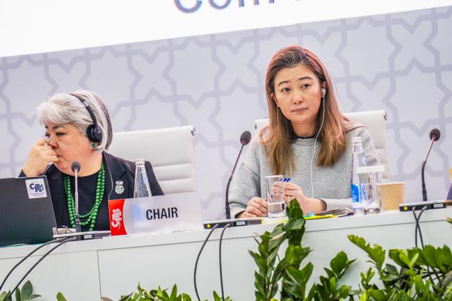 CITES COP20