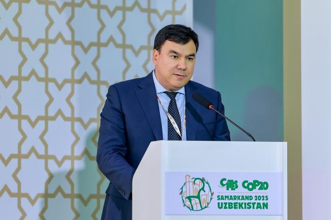 Aziz Abdukhakimov, Advisor to the President of the Republic of Uzbekistan on Environment and Chairman of the National Committee on Ecology and Climate Change