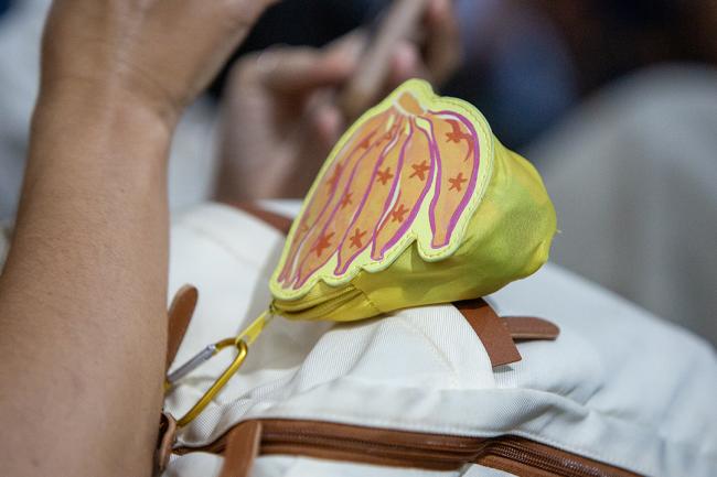 Bag - Global Fire Hub - COP30 - 17Nov